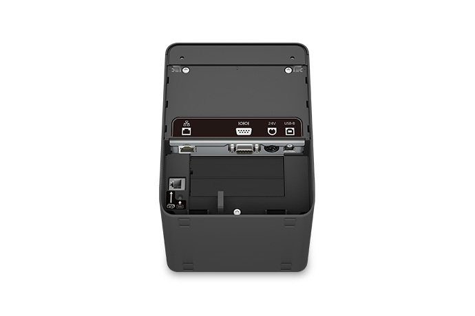 Epson TM-L100 (501)